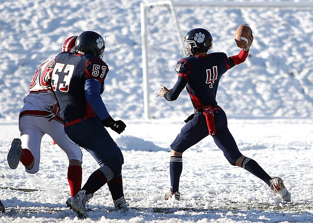 的身体素质 的身体素质