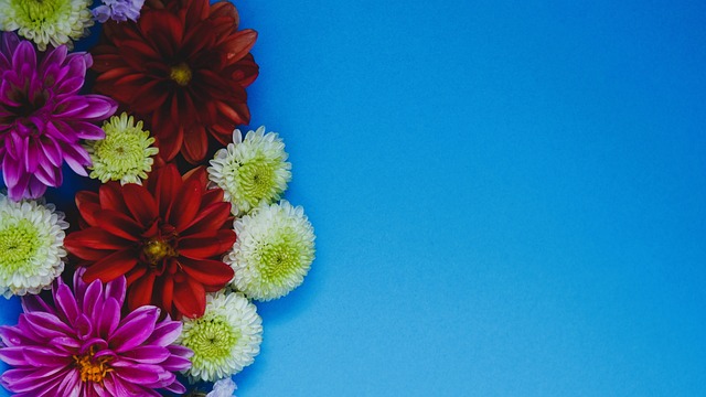 多年的培訓 多年的培訓