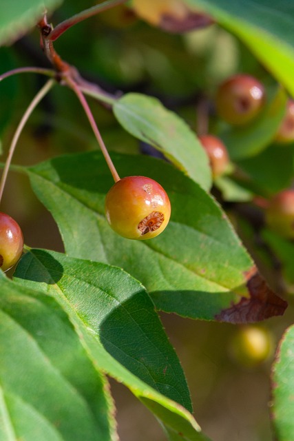 泉州亚新也 泉州亚新也