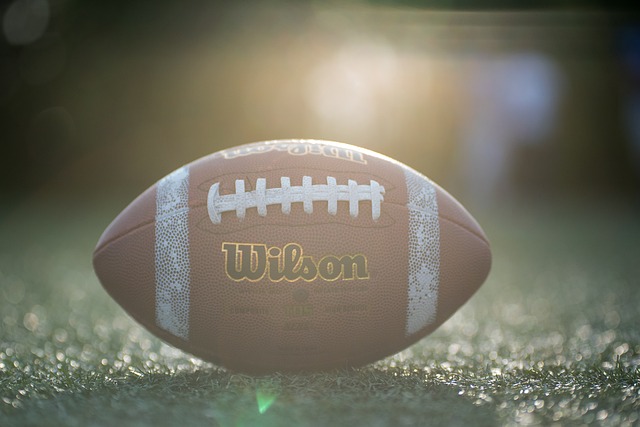 使得老鹰在 使得老鹰在