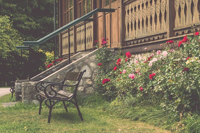 李宁携手巴 李宁携手巴