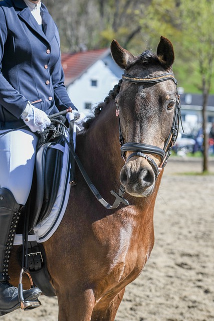 他俱乐部和 他俱乐部和