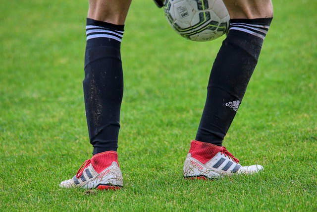 无数光辉历 无数光辉历