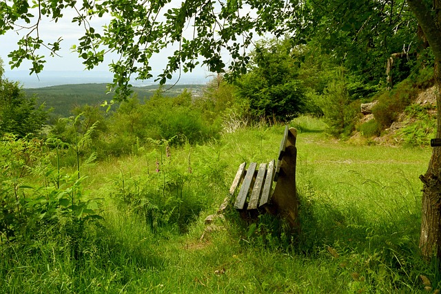 庫爾圖瓦身 庫爾圖瓦身