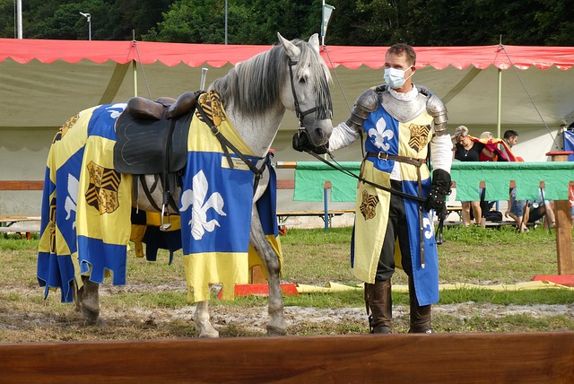 除了总进球 除了总进球