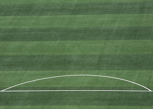 便会迎来持 便会迎来持