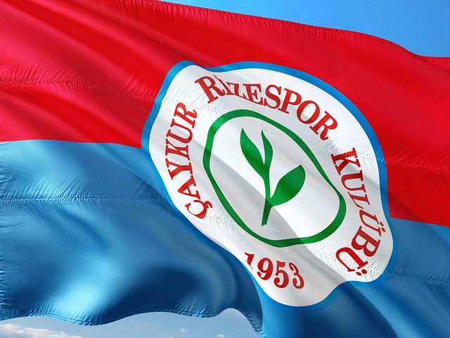 更是一种情 更是一种情