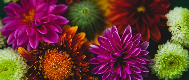 粉丝圈的解 粉丝圈的解