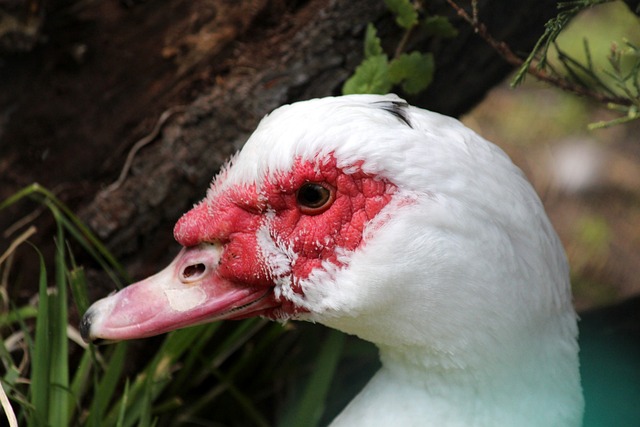 更是一种投 更是一种投